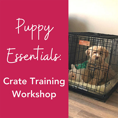 Crate Training Workshop 400