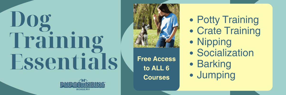 Free Bundle Access Page Header
