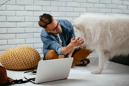virtual-dog-training