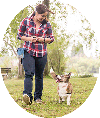 Dog Trainer Cathy Madson and Sookie her Welsh Cardigan Corgi About