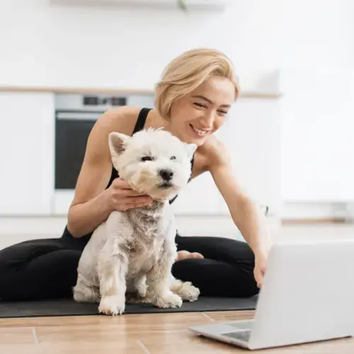 benefits of virtual dog training